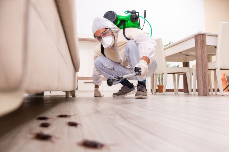 Pest Removal Treatments
