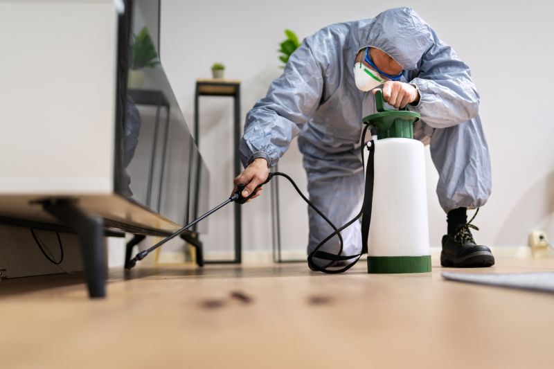 Commercial Fumigation in Asheville, NC