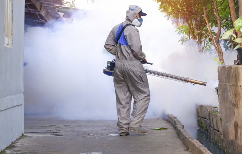 Fly Pest Control in Fort Worth, TX
