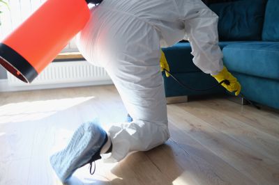 Fumigation Service in West Palm Beach, FL