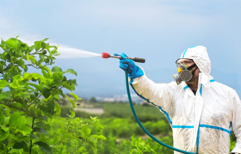 Spider Fumigation Service in Fort Collins, CO