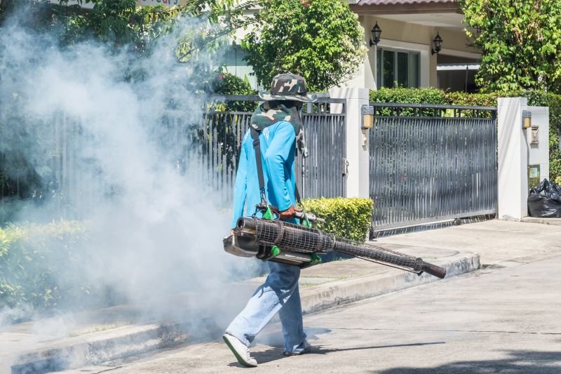 Spider Fumigation Service in Tampa, FL