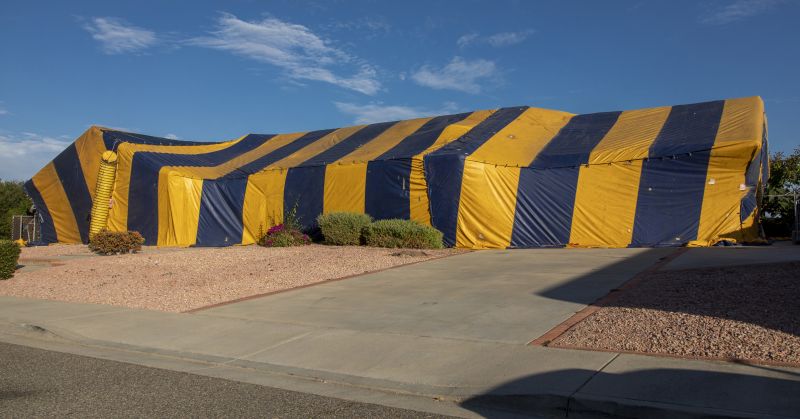 Termite Tenting in Phoenix, AZ